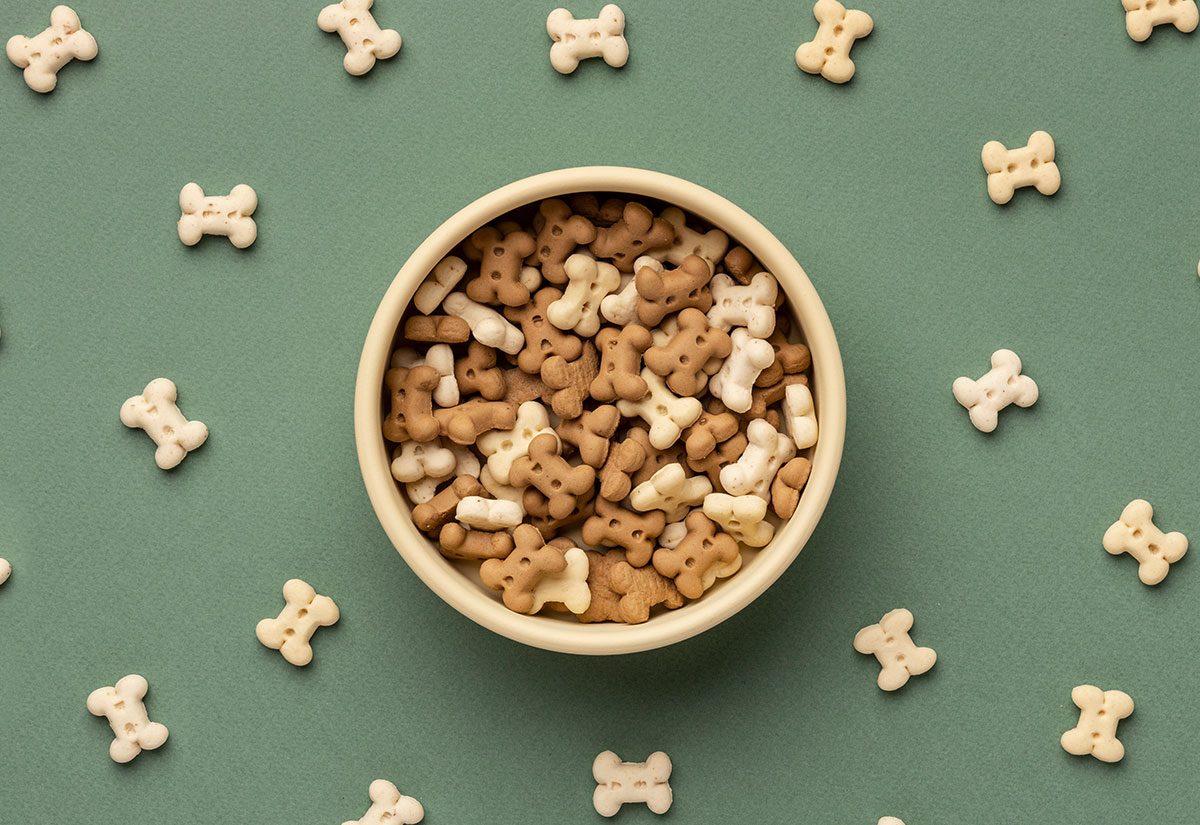How should I change my pet’s food? What should I pay attention to?