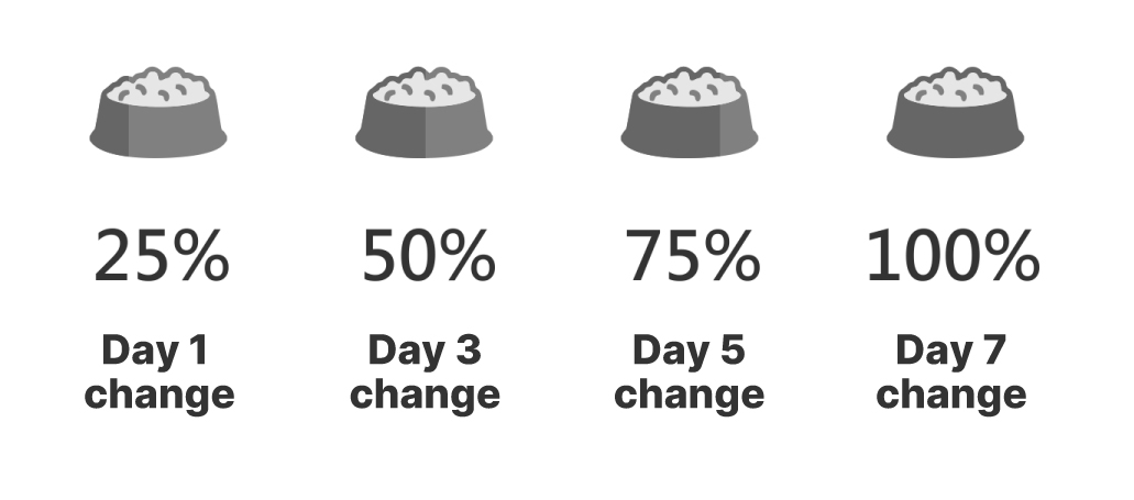 Pet Food Transition Chart