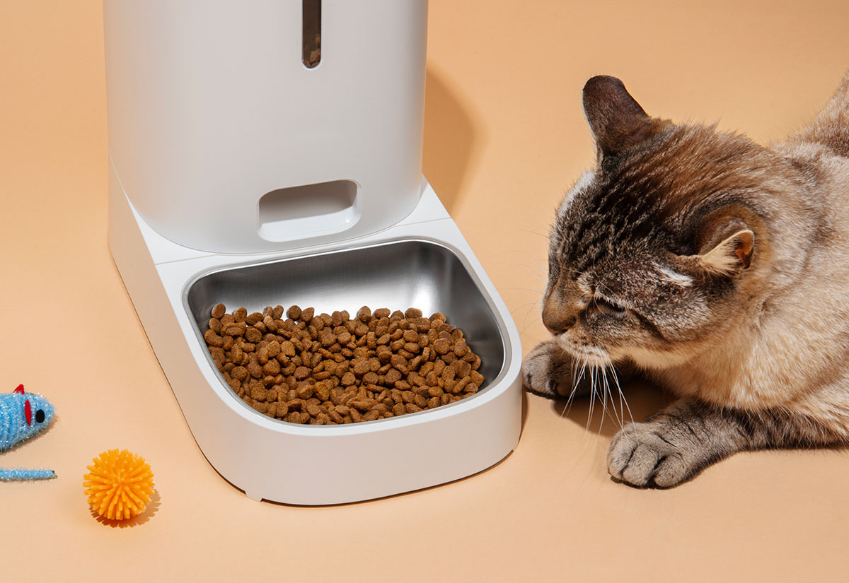 Adverse Food Reactions in Pets
