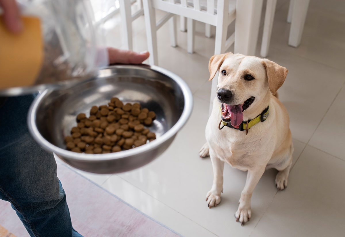 Can dry pet food be used as a pet’s primary diet?